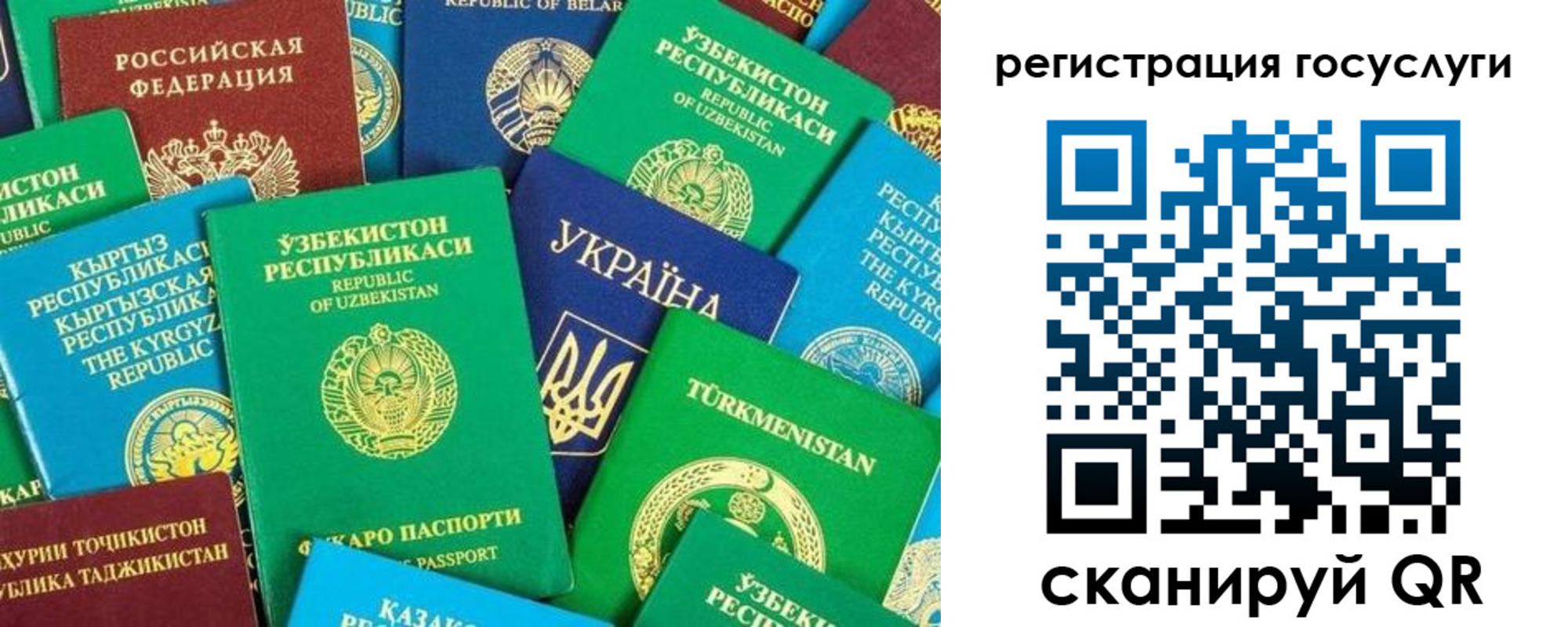 временная регистрация купить в Амурской области